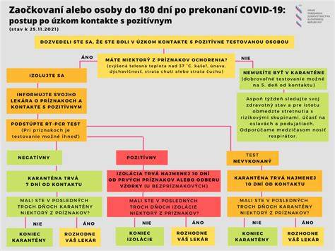 Čo robiť po pozitívnom tehotenskom teste: praktický sprievodca od okamihu potvrdenia až po začiatok starostlivosti o sebe a dieťa